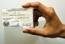 Hacienda propone que el NIT sea digital, gratuito y emitido en línea Foto: Cortesía.