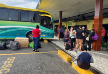 Reducción del transporte interdepartamental en la Terminal del Sur durante Navidad y Año Nuevo