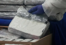 Perú decomisa 3,4 toneladas de cocaína que iban a Bélgica