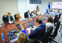 Diputados aprueban reasignar $40 millones destinados a los gastos preelectorales del voto en el exterior para 2027