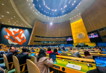 El Salvador es electo para integrar la Comisión de Consolidación de la Paz de la ONU