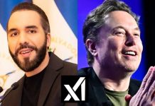 El Salvador y xAI anuncian uso nacional de Grok para tutoría personalizada con IA