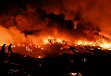 Argentina: incendios arrasan 15.000 hectáreas en Patagonia