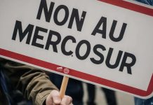 Francia quiere que países de Mercosur asuman salvaguarda