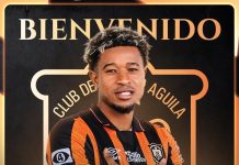 Águila confirmó su segundo fichaje, el colombiano Stiven Dávila El 'Ave Majestuosa' confirmó su segunda llegada. Foto cortesía: CD Águila.