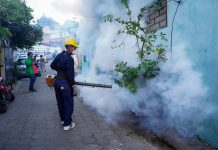 Alcaldía lanza plan de fumigación Foto: Cortesía.