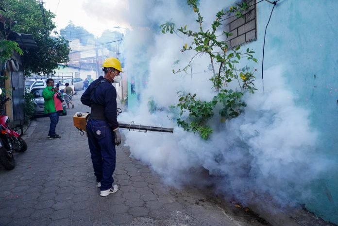 Foto: Cortesía. Foto: Cortesía.
