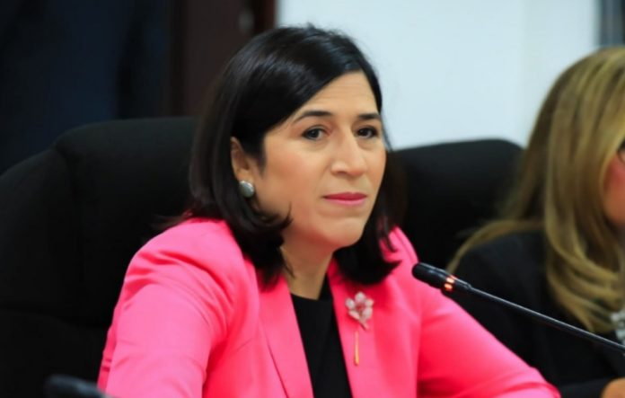 Ministra de Economía, María Luisa Hayem.