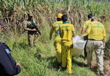 Hallan cadáver de mujer en avanzado estado de descomposición en Guazapa