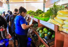 Abrirán 10 nuevos agromercados Foto: Cortesía.