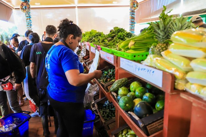 Foto: Cortesía. Foto: Cortesía.