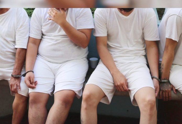 Foto: Cortesía. Foto: Cortesía.