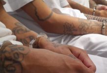 Diez pandilleros son condenados hasta 219 años por múltiples homicidios Foto: Cortesía.