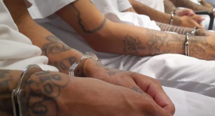 Foto: Cortesía. Foto: Cortesía.