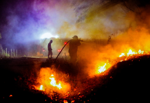 Incendios aumentan 52% en enero de 2026; Bomberos atribuyen alza a prácticas humanas evitables