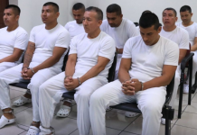 Condenan a 15 años de prisión a nueve extranjeros por tráfico de cocaína valorada en $37 millones