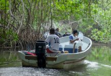 Proponen ente autónomo que asumiría régimen de sanciones del sector pesquero