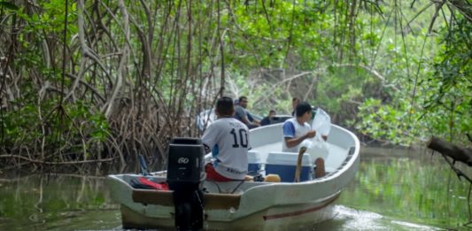 Aprueban crear autónoma que regulará las actividades del sector pesquero