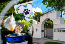 ¿Cuáles son los montos por espacios para mascotas en el Cementerio La Bermeja?