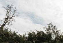 Tercer día consecutivo con récord de temperaturas mínimas; MARN registra 12.0 °C en estación Puente Cuscatlán, San Vicente