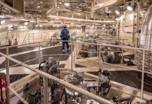 Operadora de Fukushima distribuye electricidad tras 14 años