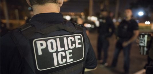 Riesgo de separación familiar en EE. UU.: ¿Qué proponen los estados para proteger a los hijos de migrantes?