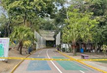 Cierran temporalmente parques de Santa Tecla por Vientos Nortes