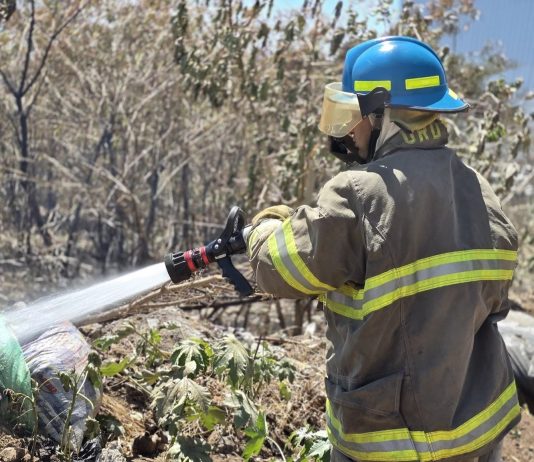 Bomberos atendieron al menos 63 incendios en las últimas 24 horas a nivel nacional