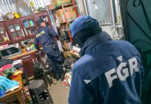 Operativo desmantela estructura que distribuía droga simulando entregas de paquetería