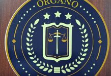 16 años de prisión para empleada doméstica por agresión sexual Foto: Cortesía.