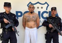 Detienen a pandillero deportado con notificación roja de Interpol Foto: Cortesía.