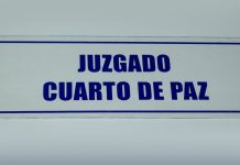 Motorista de autobús continuará procesado por homicidio culposo Foto: Cortesía.