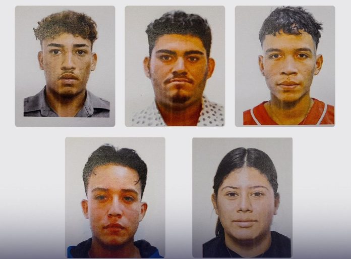 Foto: Cortesía. Foto: Cortesía.