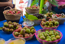 Más de 70 productores participaron en el Festival del Jocote y la Guayaba en San Salvador Centro