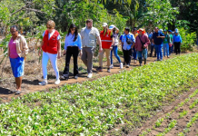Impulsan proyecto para 600 familias agricultoras en Sonsonate y Ahuachapán