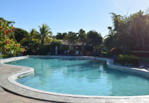 Actos vandálicos en centro recreativo de Ciudad Delgado dejan daños en sistema de filtración y una canina muerta