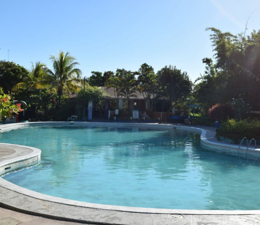 Actos vandálicos en centro recreativo de Ciudad Delgado dejan daños en sistema de filtración y una canina muerta