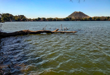 MARN confirma bajos niveles de oxígeno en laguna de Apastepeque tras inspección técnica por reportes previos sobre peces muertos