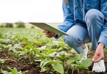Facultad de Ciencias Agronómicas de la UES impulsa la Ingeniería Agrícola Digital mediante Inteligencia Artificial Foto: Cortesía.