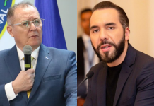 “Escuchar al nuevo Ministro de Seguridad defender los ‘derechos humanos’ de los criminales es triste”, afirma Bukele