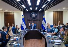 Diputados aprueban ratificar reforma constitucional que habilita cadena perpetua contra violadores, asesinos y terroristas