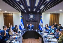 Diputados aprueban incorporar cadena perpetua en leyes secundarias