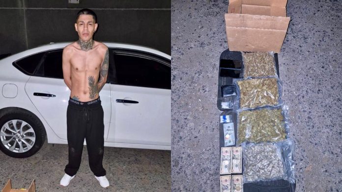 Diseño sin título (9)