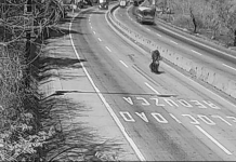 Multan con $150,00 a motociclista que manejó a excesiva velocidad en la Carretera al Puerto de La Libertad Foto: Cortesía.