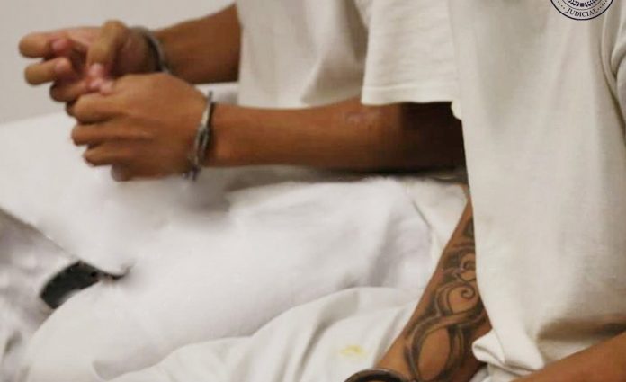 Foto: Cortesía. Foto: Cortesía.