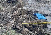 Trabajador muere soterrado tras colapso de paredón en Zaragoza