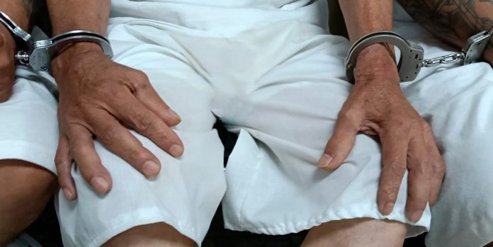 Foto: Cortesía. Foto: Cortesía.