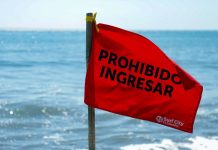 ¿Qué significa el color de banderines en las playas? Esto es lo que usted tiene que saber