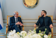 Bukele prevé visitar Chile en mayo, según vicepresidente Félix Ulloa