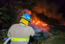 Incendios en El Salvador registran incremento superior al 90 % en 2026, afirma Bomberos